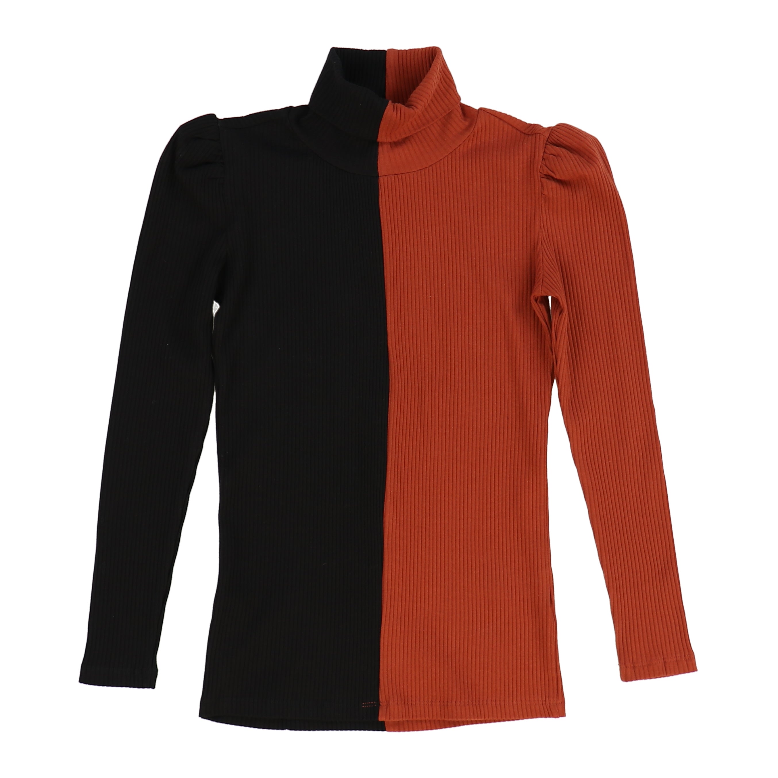 Colorblock Rib Turtleneck