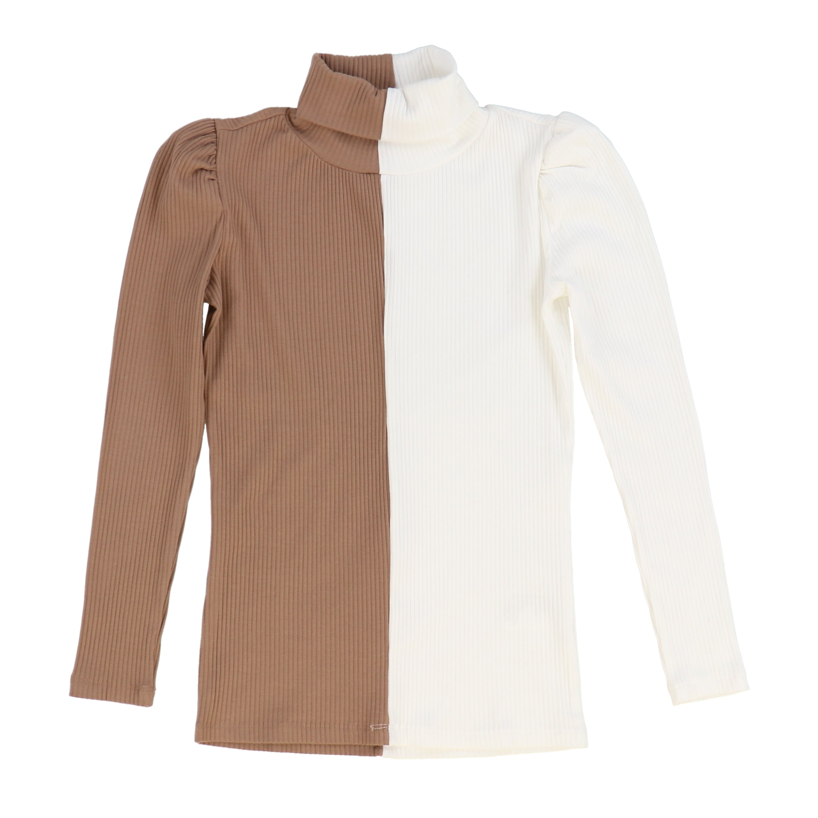 Colorblock Rib Turtleneck